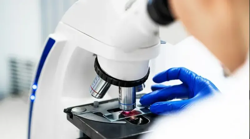 Institutos del CONICET recibieron el Premio Fundación Williams a la Excelencia Científica 2025